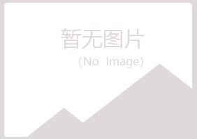 安阳殷都盼夏咨询有限公司